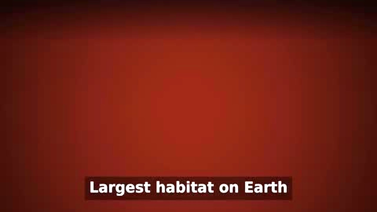 A frame from the demo video: a deep gradient background with the
                  burned-in caption bar.